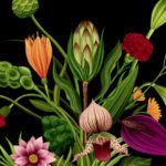 Botanical Animation Story of Flowers Katie Scott Azuma Makoto James Paulley